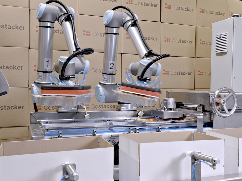 Dozen vullen en stapelen kan snel en efficiënt dankzij een geautomatiseerde verpakkingslijn 1