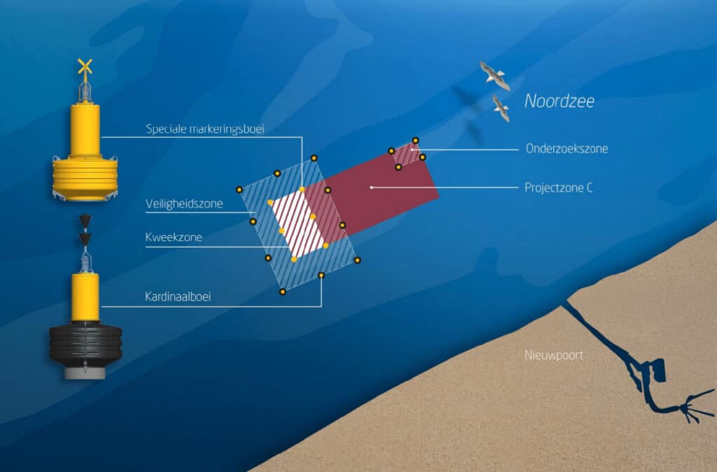 Colruyt Group verwerft vergunningen om Belgische mosselen te kweken in de Noordzee 1