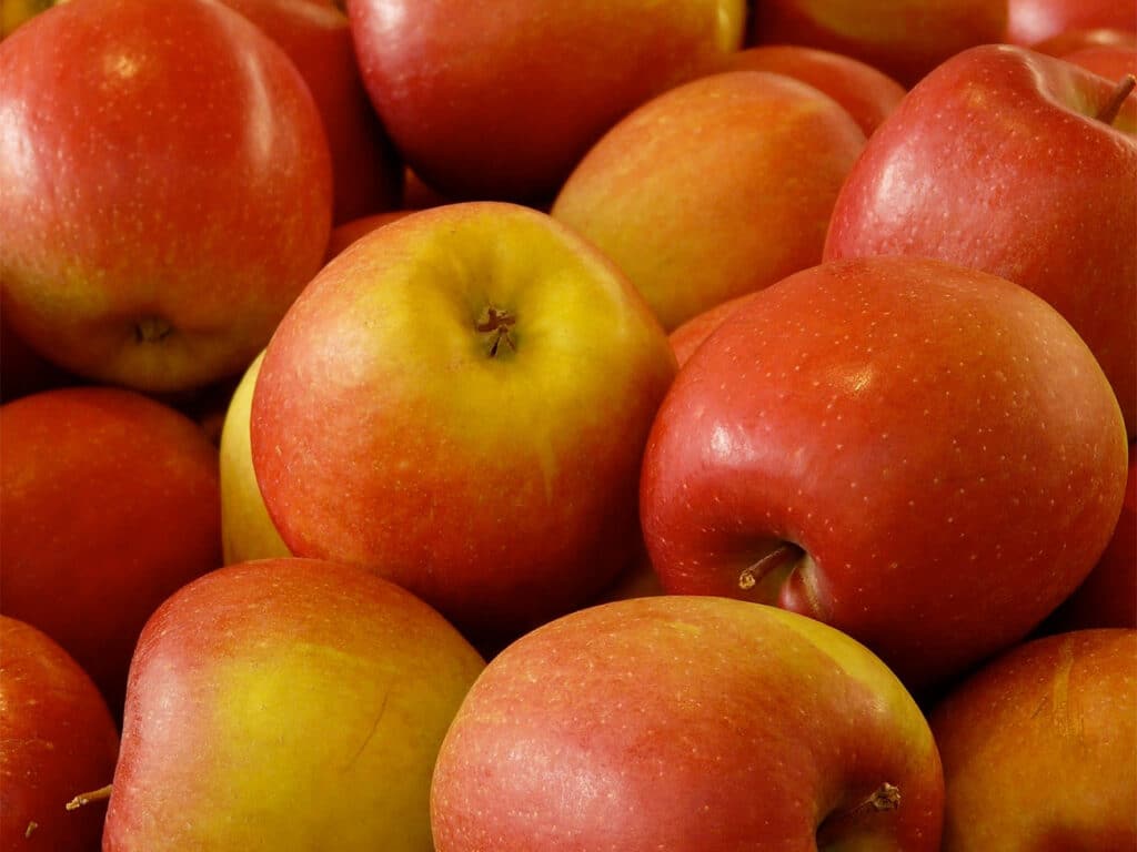 Pomp wordt multifunctionele schakel in productieproces appelsapconcentraat 2