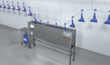 Reiniging en desinfecteren in de pluimveeverwerkende sector 5