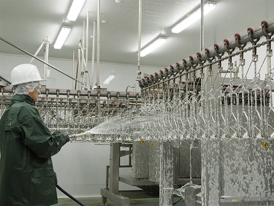 Veelgestelde vragen over reiniging en desinfectie in de pluimvee-industrie 1