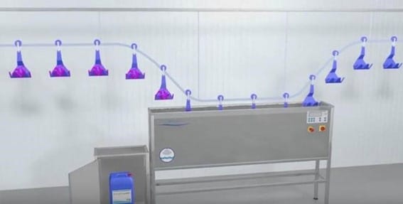 Hygiëne en desinfectie voor de pluimvee-industrie 1