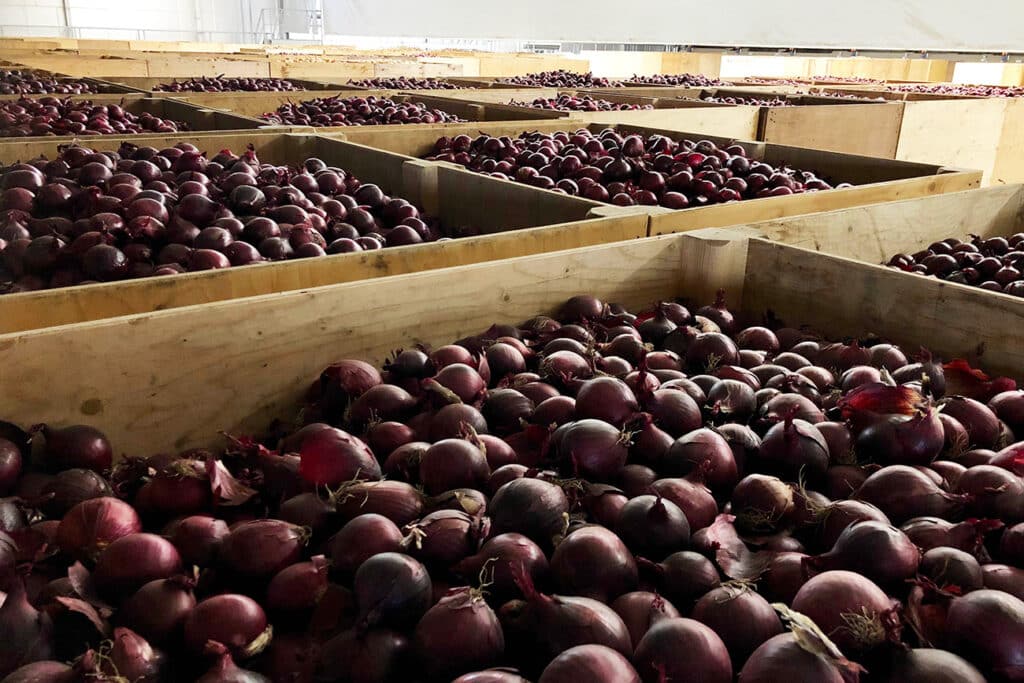 Gourmet traceert bewaarkisten met uien automatisch met RFID Asset Tracking 2