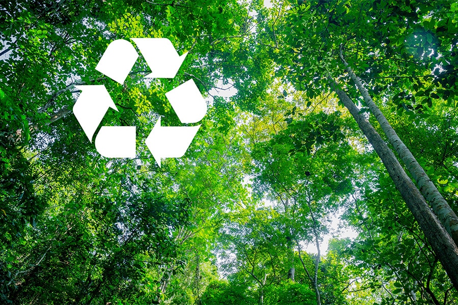 Wat met plastic verpakkingen? 2