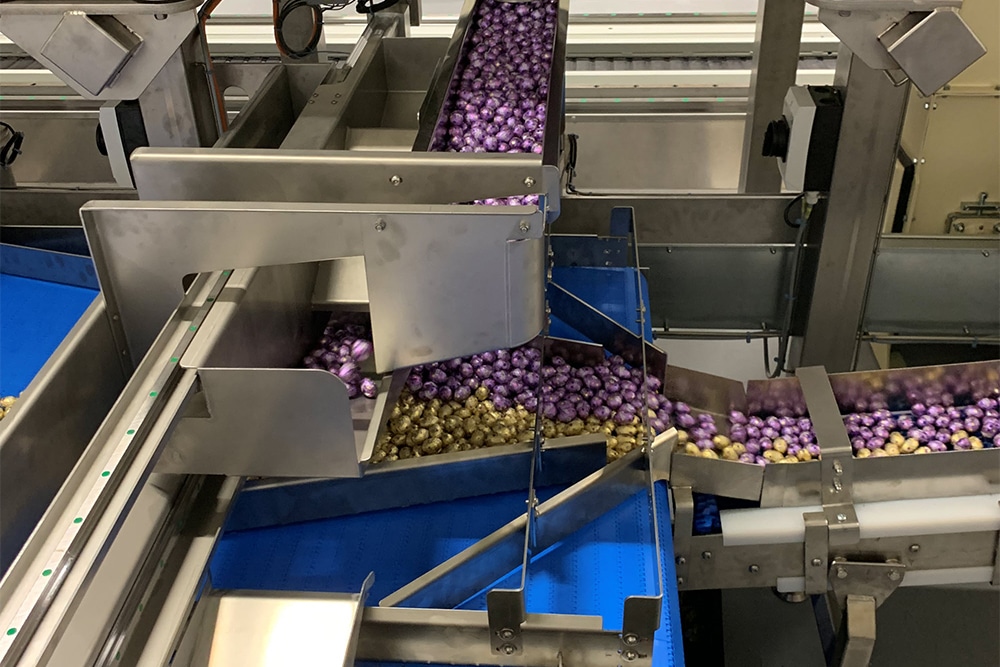 Paaseitjesmix automatiseren - Mondelez kiest voor elektrische aandrijvingen 2