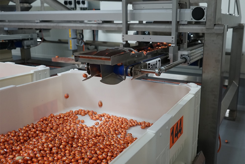 Paaseitjesmix automatiseren - Mondelez kiest voor elektrische aandrijvingen 1