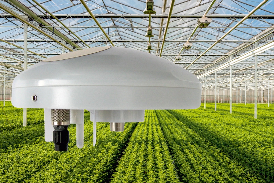 Innovatief telen op basis van (sensor)data 1