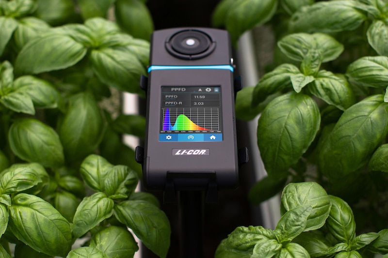 Innovatief telen op basis van (sensor)data 2