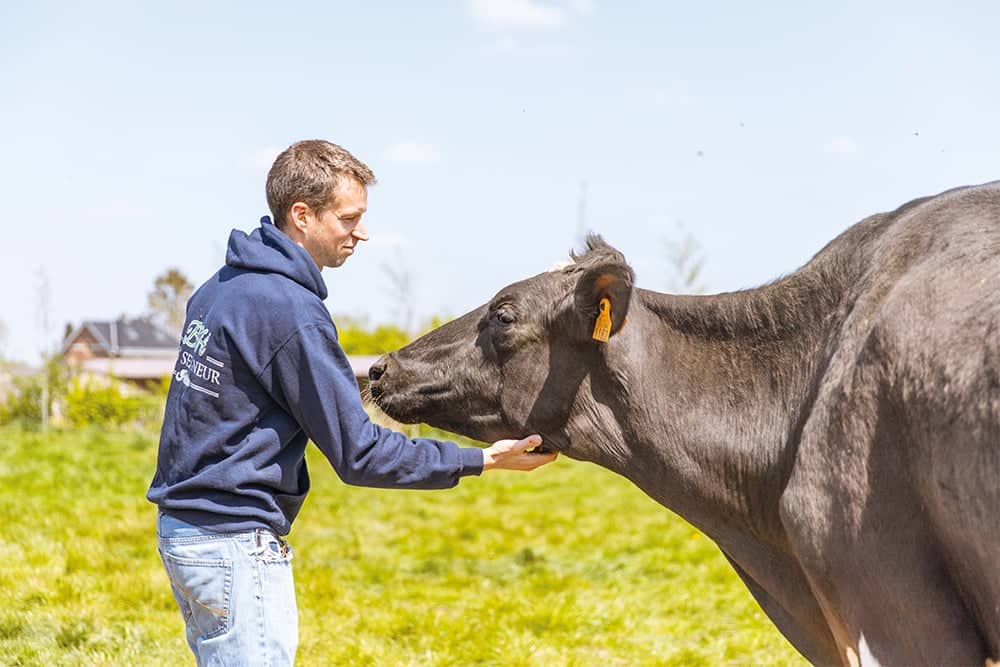 Consumentenvoorkeuren, voedselveiligheid en duurzaamheid in de zuivelindustrie 3