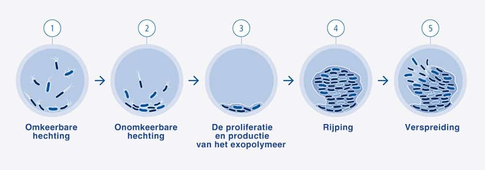 Veilig, efficiënt en duurzaam 2