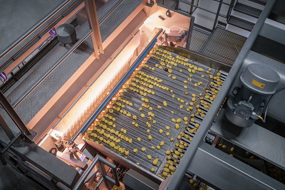 Gentse scale-up Factry revolutioneert procesmonitoring bij Agristo 2
