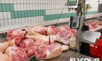 Kalibratie heeft nog nooit een sensor beter gemaakt 12