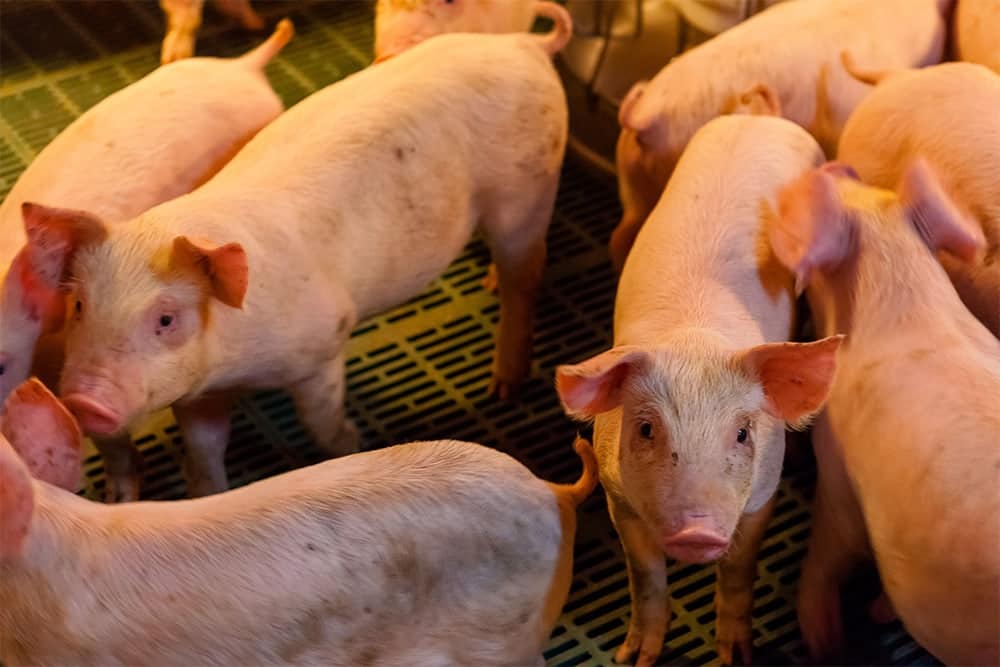 Meetapparatuur, kennis én kunde leiden tot procesoptimalisatie 5