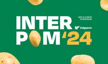 Energizing a potato industry in transition 12