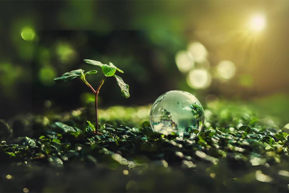 De brede horizon van duurzaamheidsverantwoordelijkheid 1