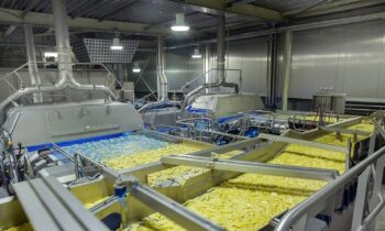Vochtsensoren essentieel bij industrieel drogen  aardappelgerechten 10