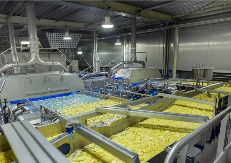 Vochtsensoren essentieel bij industrieel drogen  aardappelgerechten 3