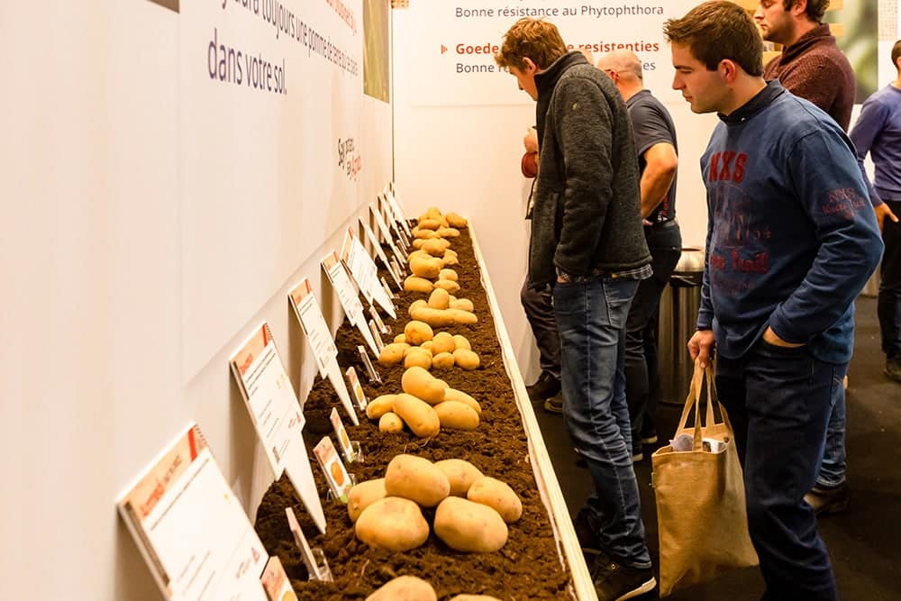 Innovaties en ontwikkelingen voor een aardappelindustrie in volle verandering 3