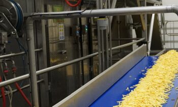 Productie van frietjes perfect aangestuurd 12