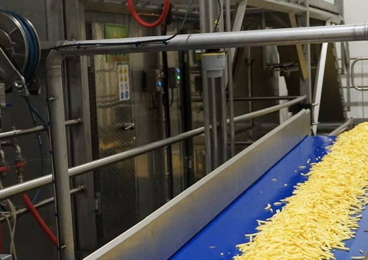 Productie van frietjes perfect aangestuurd 2