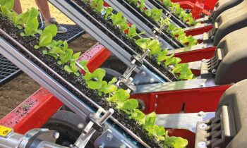 Automatiseringstechnologie met volledige service voor landbouw 12