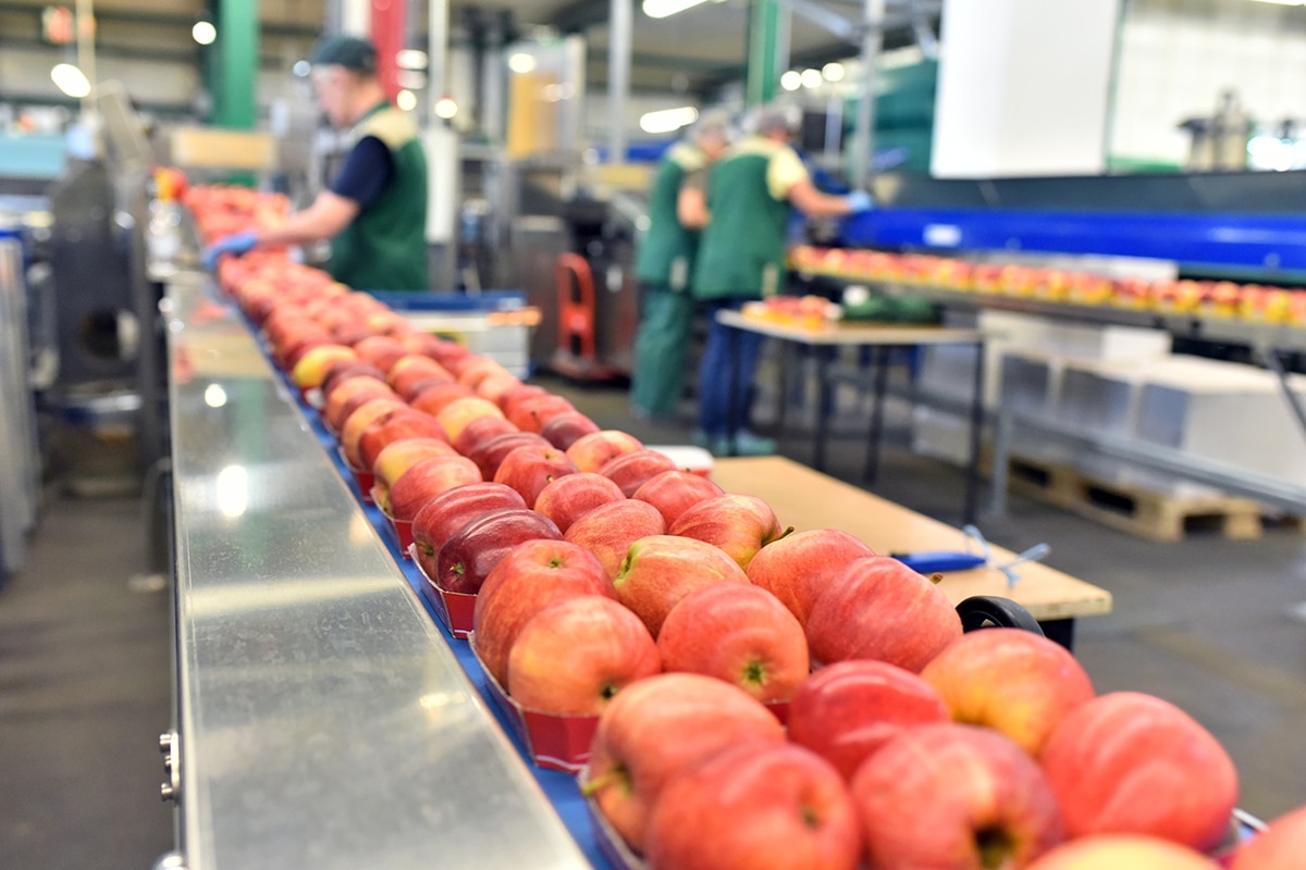 Verbeteren productiviteit topprioriteit voor voedingsbedrijven 10