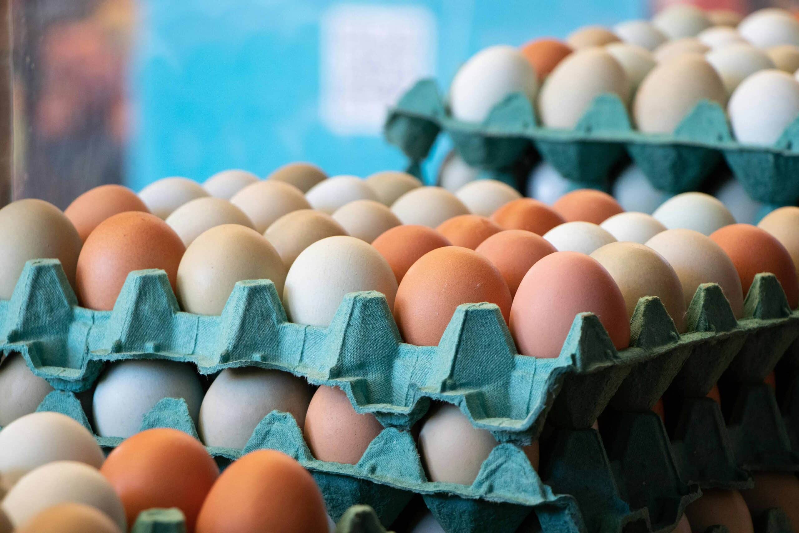 Zeventigtal salmonella-infecties in België gelinkt aan consumptie van eieren 11