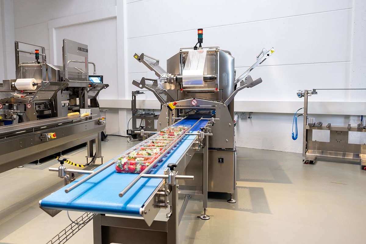 Verpakkingsmachines aan het werk zien 12