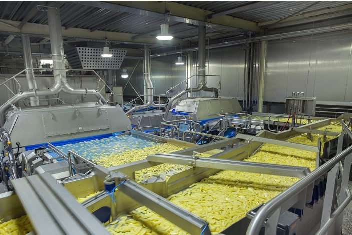 Nauwkeurige vochtigheidsmeting voor efficiënt voedsel drogen 1
