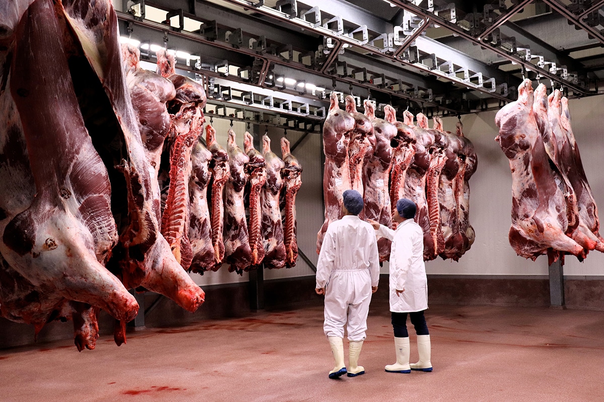 Optimale reinigingsstrategie voor slachthuizen 12