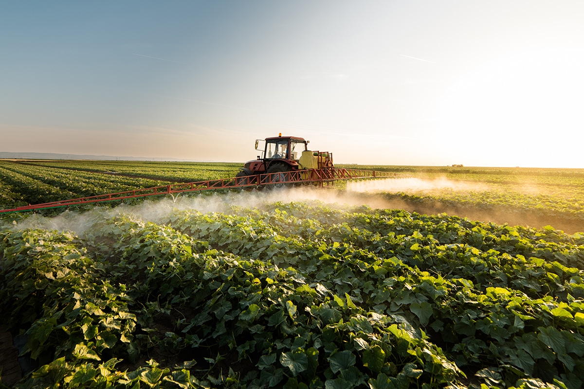 Residuen van pesticiden in voeding: wat is de situatie in Europa? 10