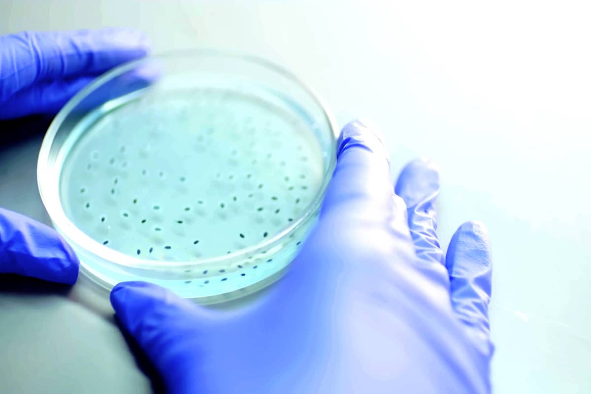 Het hoe en waarom van antibacteriële coatings 11