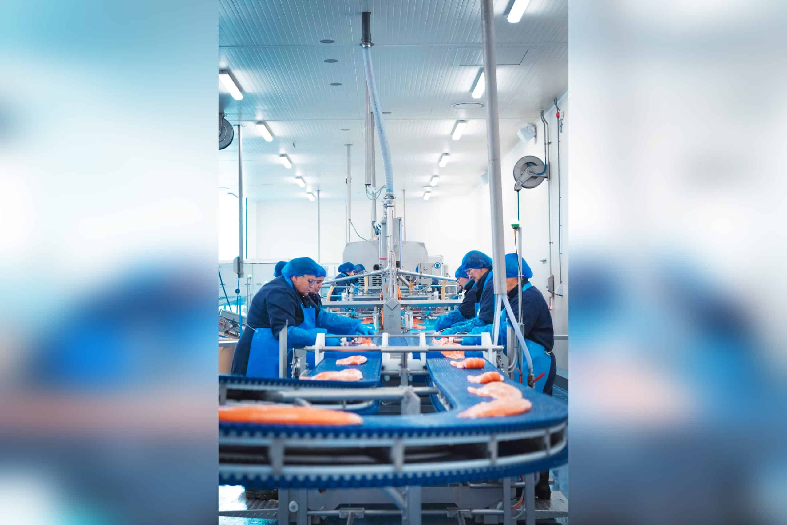 Nederlandse seafoodspecialist Norwegian Seafood zet LoopiX® in tegen Listeria 7
